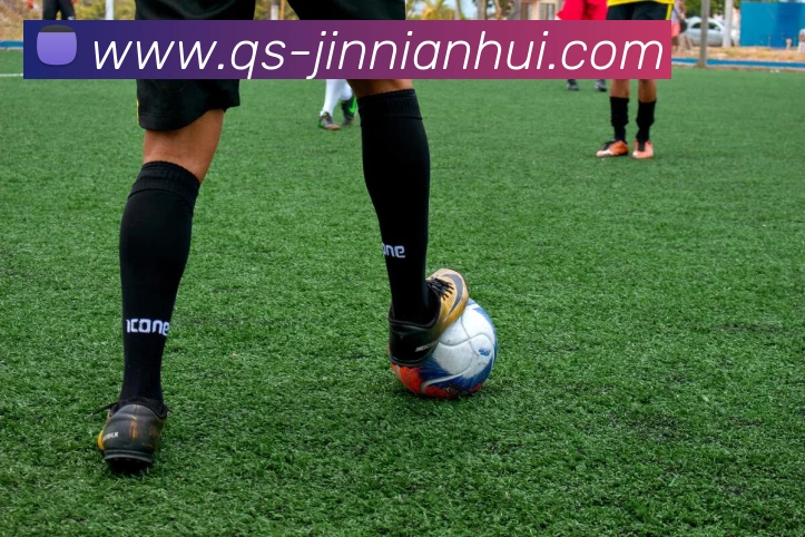 今年会官网发展历程