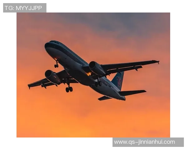 尤文图斯归途艰难机场跑道结冰导致多次航班延误